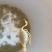 大量回收蝎子0.5一个有意着可咨询支持各种快递