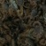 大量回收蝎子0.5一个有意着可咨询支持各种快递
