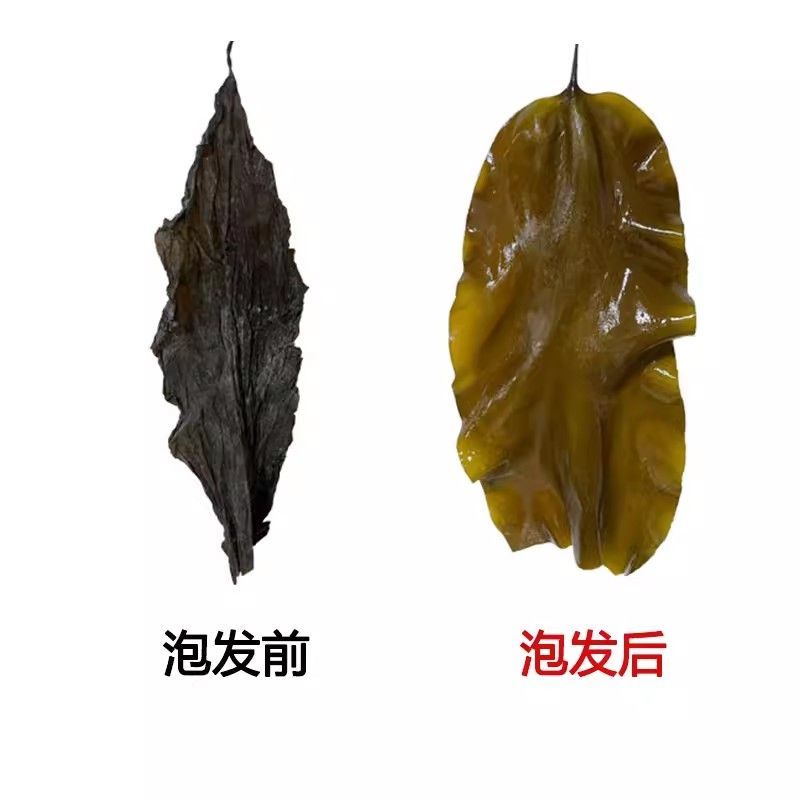 无盐无沙干海带头厚凉拌煲汤海带批发特产日晒无沙厚海带新鲜