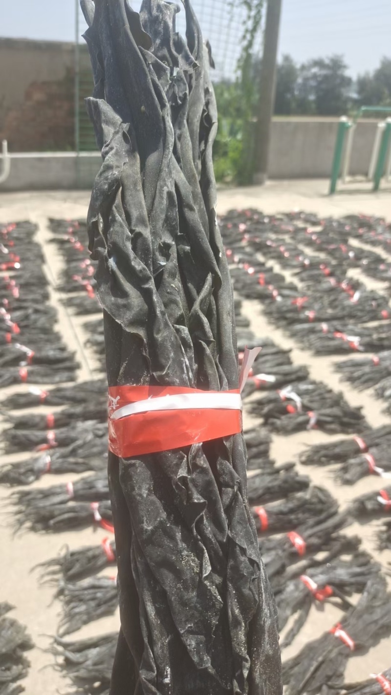 无盐无沙干海带头厚凉拌煲汤海带批发特产日晒无沙厚海带新鲜