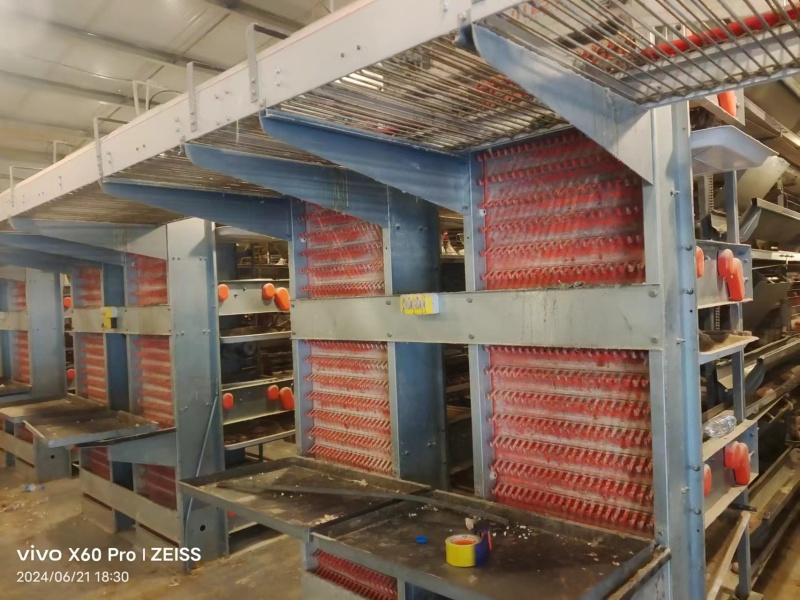鸡粪风干鸡粪货真价实量大从优厂家直发欢迎来电