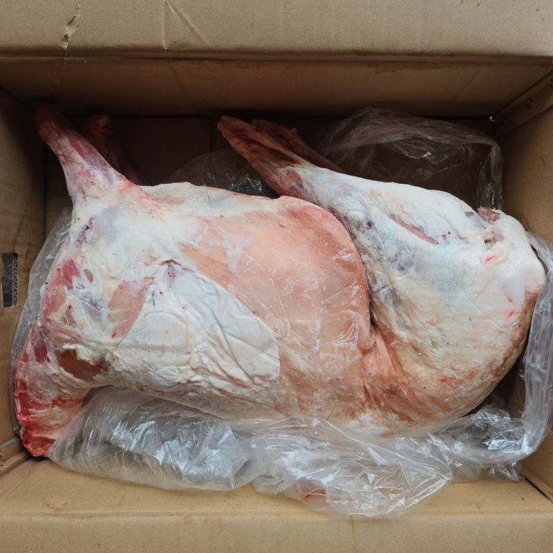 内蒙清真草地纯干羔羊，可用做礼品羊烤全羊，支持全国发货。