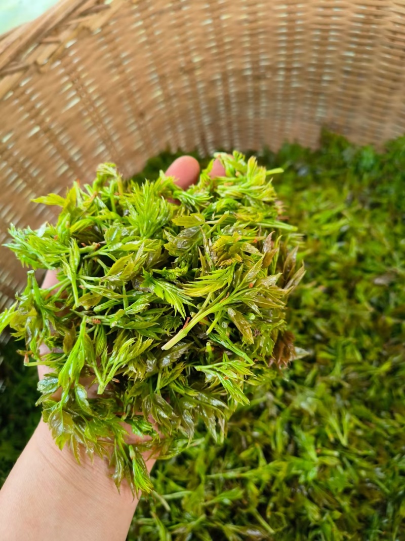 恩施藤茶土家神茶野生藤茶莓茶