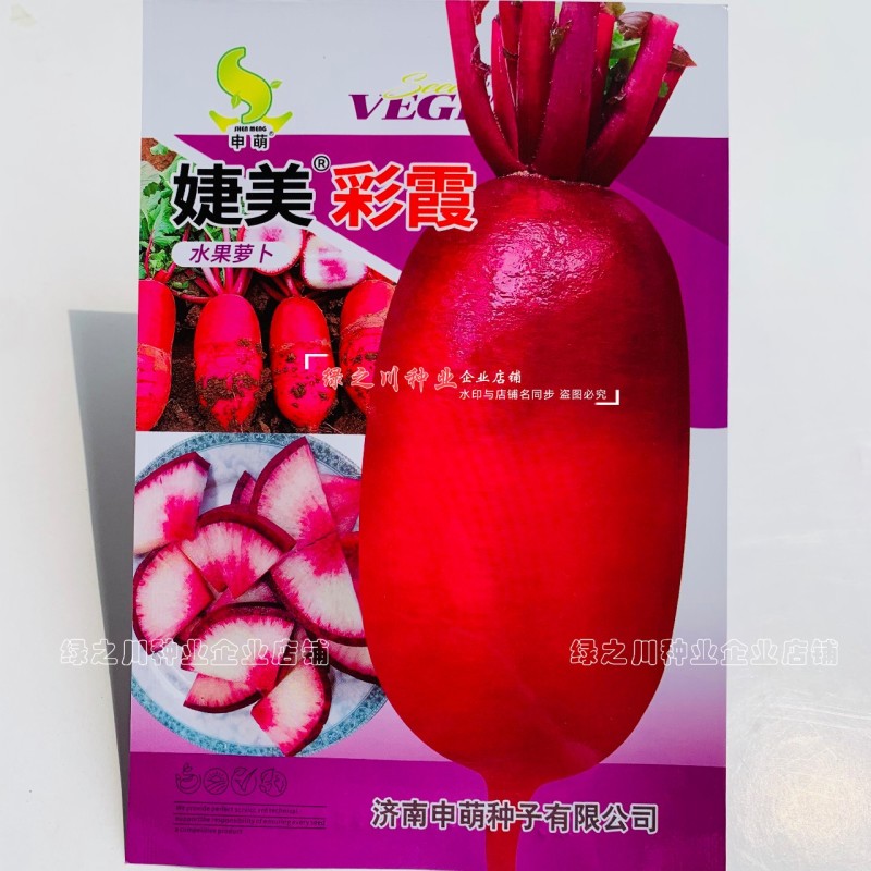 婕美彩霞水果萝卜种籽脆甜多汁杂交紫红皮穿心红水果萝卜种子