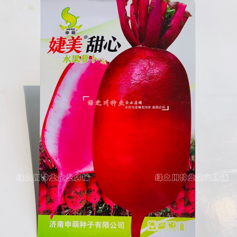 婕美甜心穿心红水果萝卜种籽紫红皮萝卜种子脆甜杂交水果萝卜