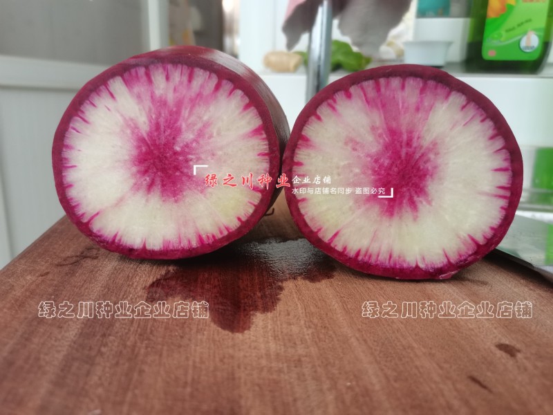 婕美甜心穿心红水果萝卜种籽紫红皮萝卜种子脆甜杂交水果萝卜