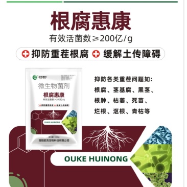 根腐惠康，根腐病青枯病立枯茎基腐死棵烂根根系弱根部老化病