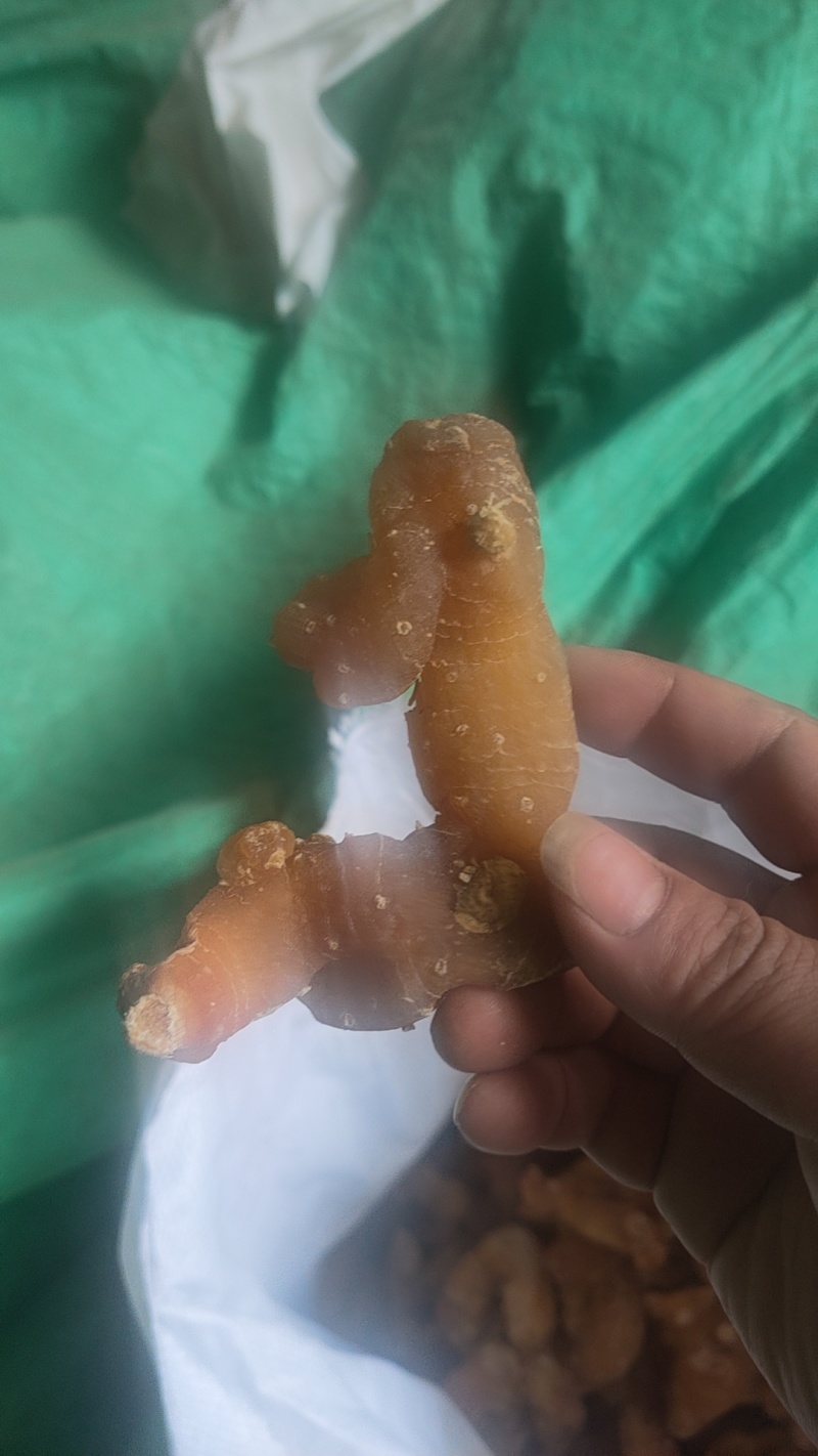 四川黄精干品，个子，片子，无硫，无杂志，成色好，足干