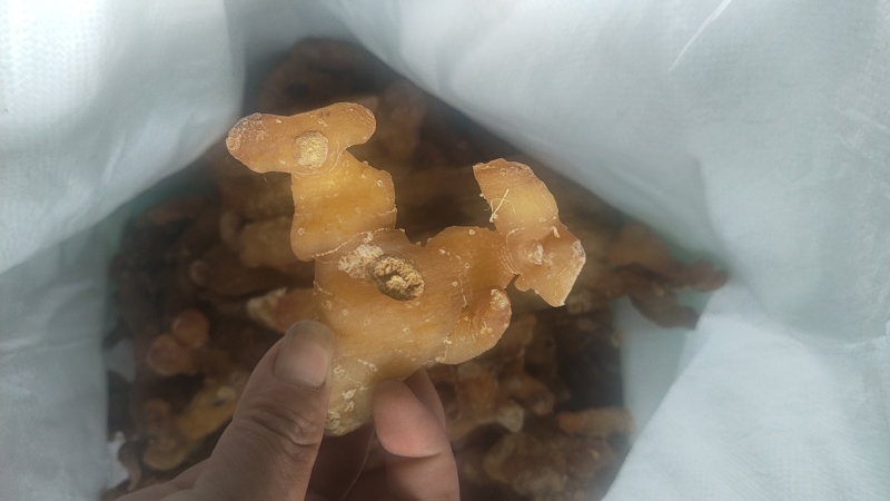 四川黄精干品，个子，片子，无硫，无杂志，成色好，足干