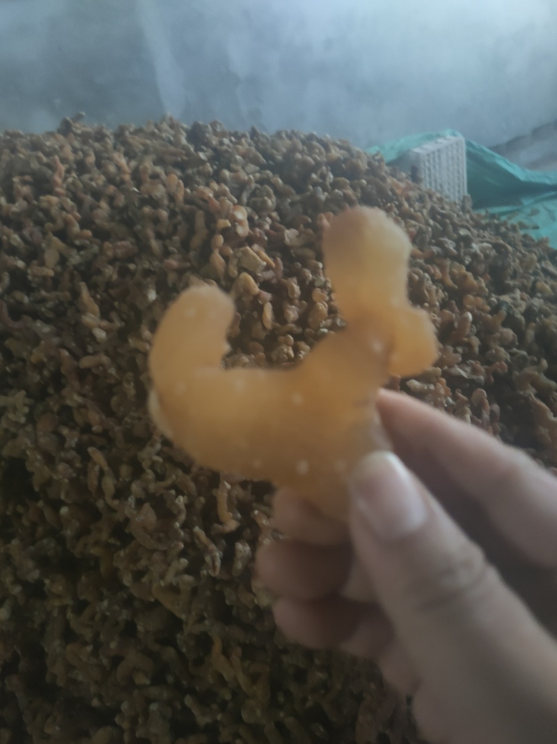 四川黄精干品，个子，片子，无硫，无杂志，成色好，足干