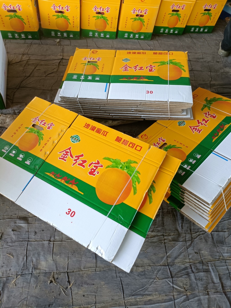 民勤金红宝甜瓜大量上市，对接全国各地市场，欢迎来电