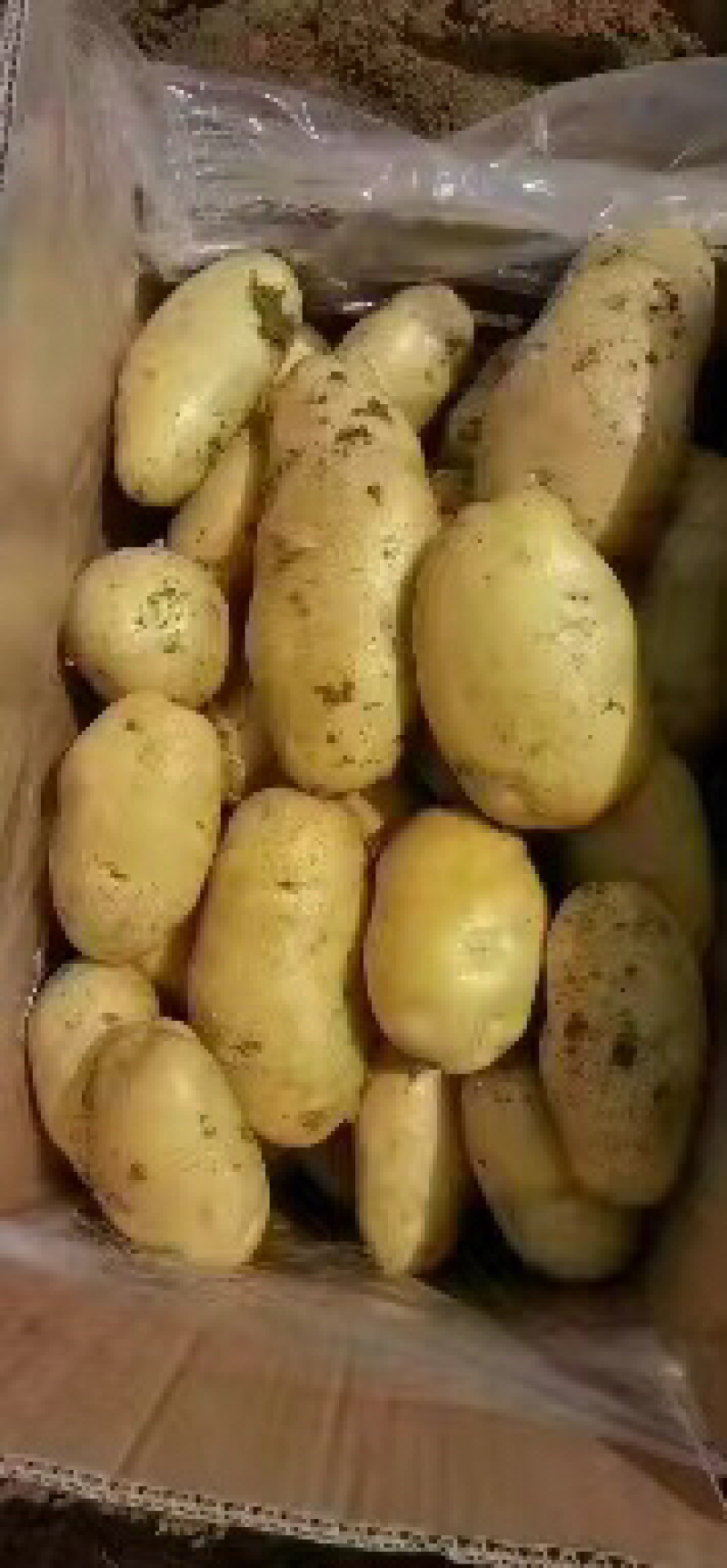 开封通许土豆大量上市，质量保证售后无忧欢迎采购