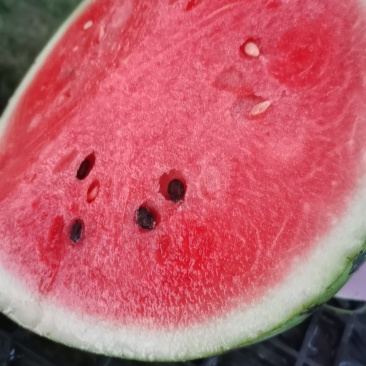 西瓜
