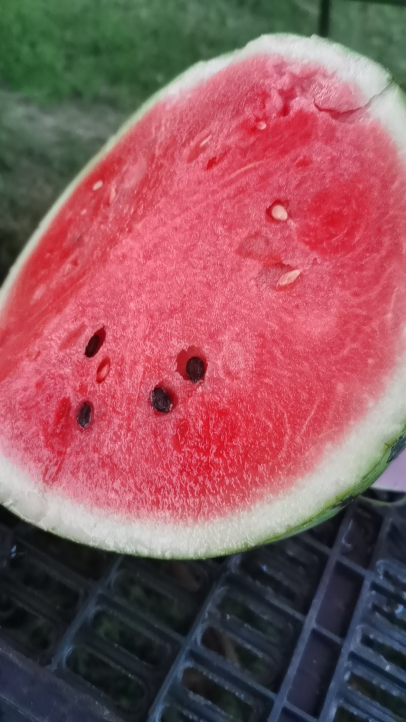 西瓜