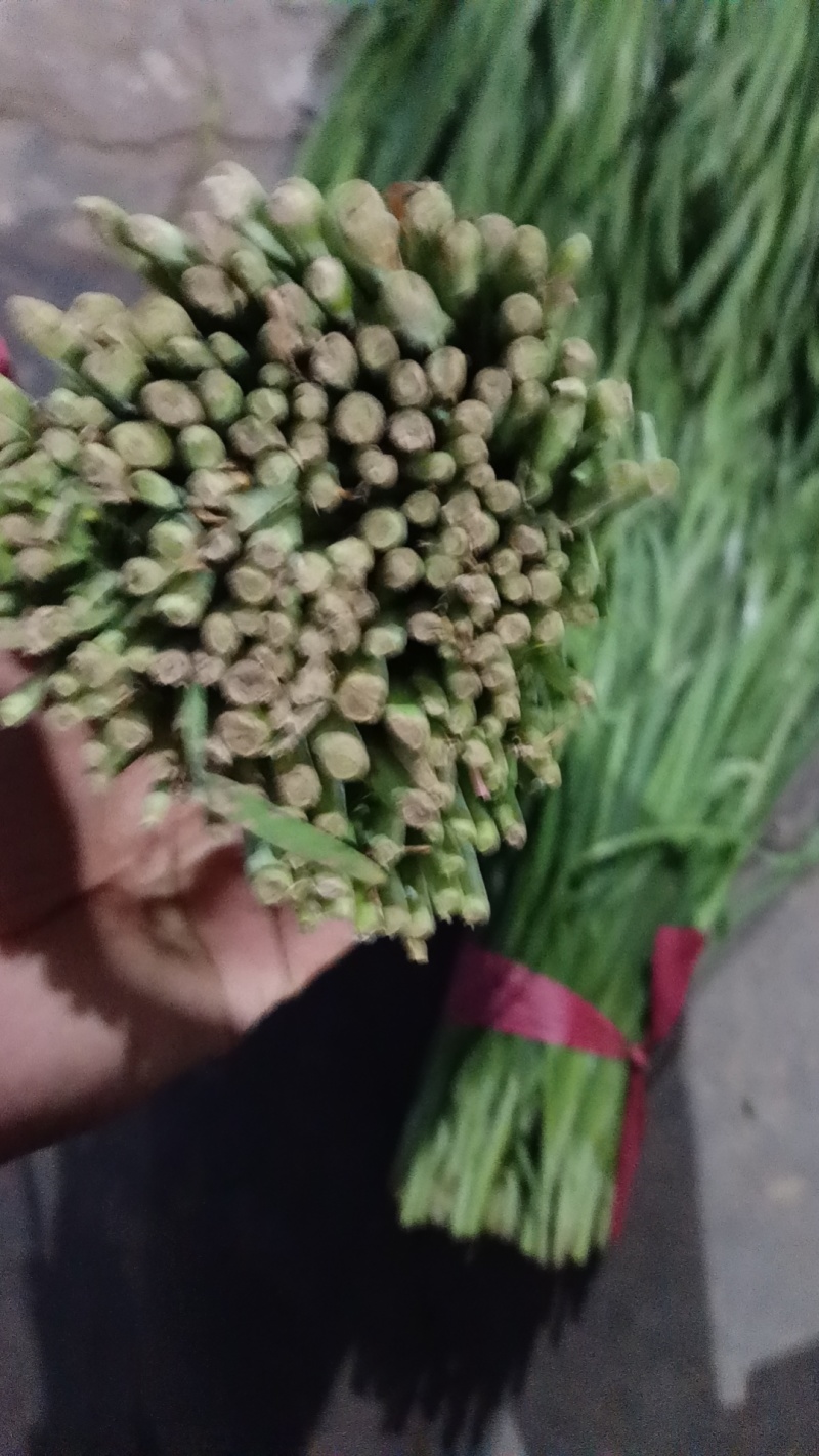 精品韭菜大量上市，欢迎咨询订购！