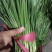 精品韭菜大量上市，欢迎咨询订购！