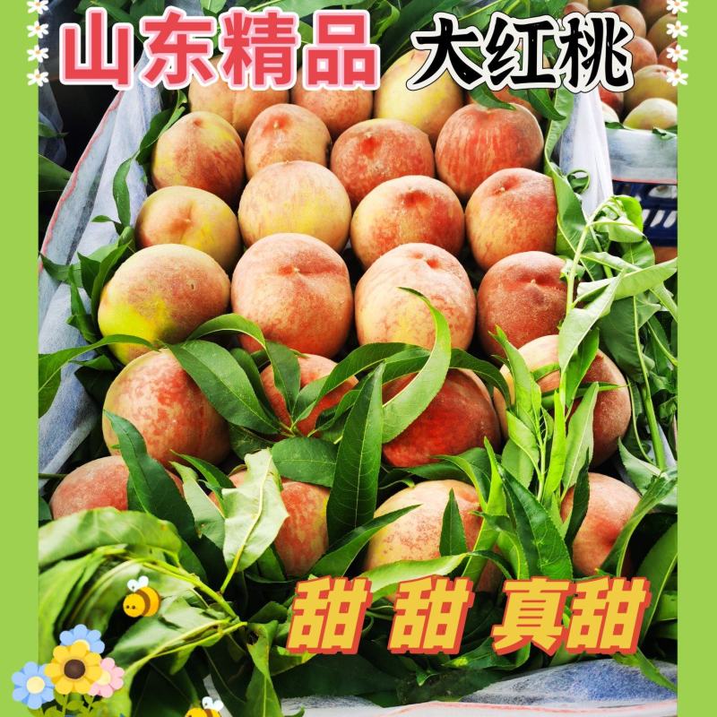 山东精品大红桃，北京八号，口感脆甜，标光鲜艳。