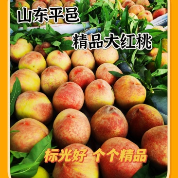 山东平邑精品大红桃！原产地货源充足稳定价格美丽！对接全国