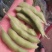 翠绿宝毛豆大量上市对接实力商家，大量批发