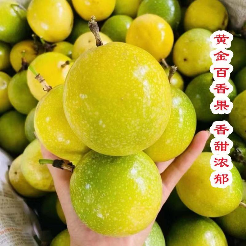 钦蜜9号百香果，原产地直发，广西百香果，大量有货