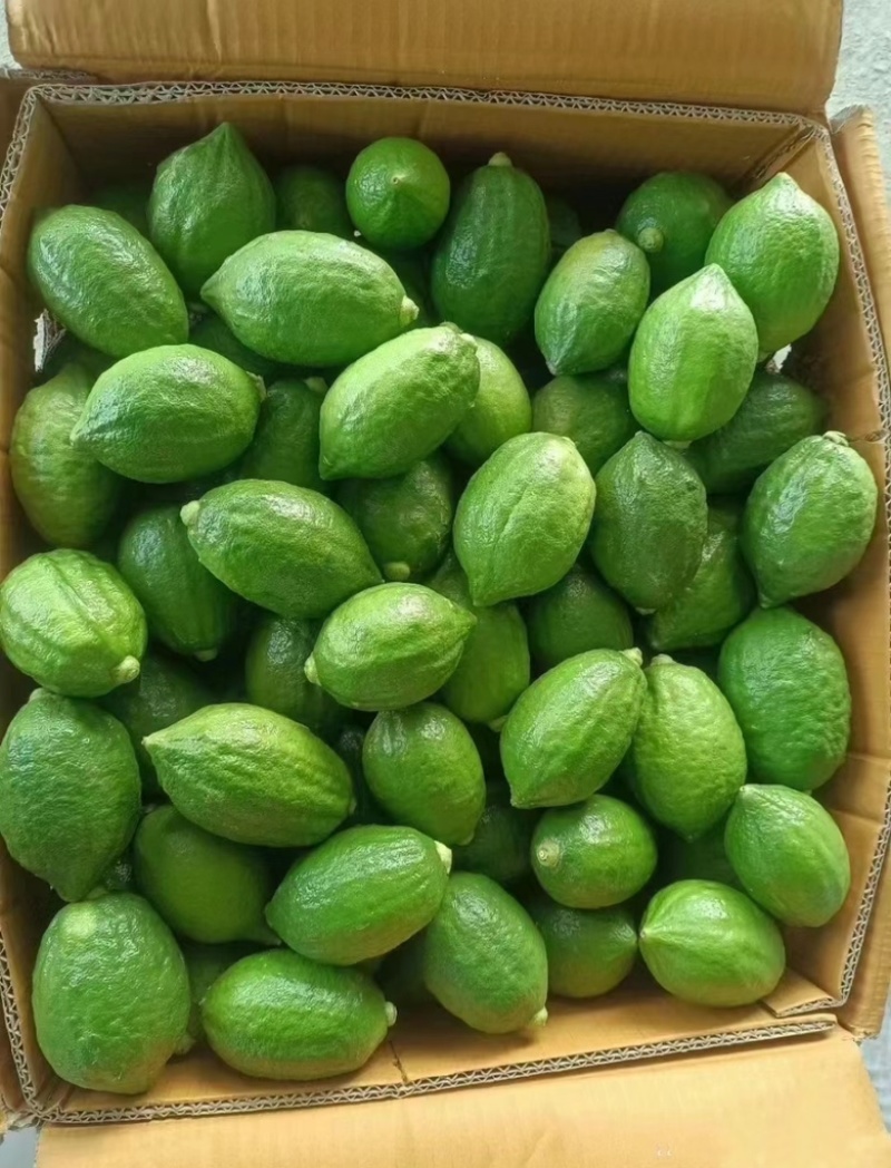 香水柠檬全面有货量大从优品质保证