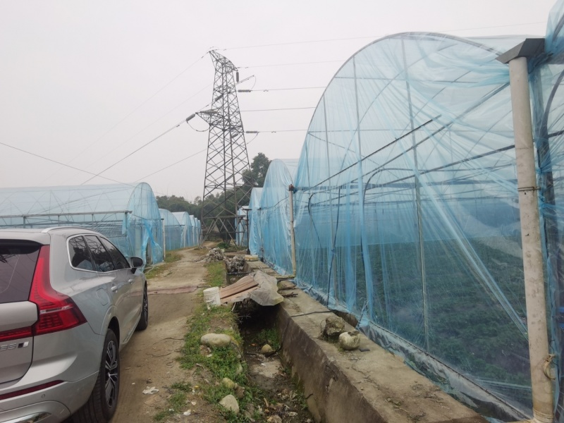 崇州市，草莓种植园出租，设施齐全。接手可种植