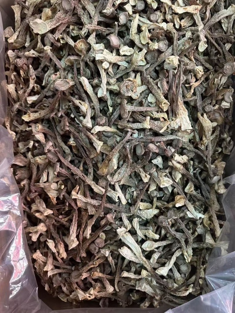 鹿茸菇地摊电商鹿茸菇干菌菇蘑菇干干鹿茸菇
