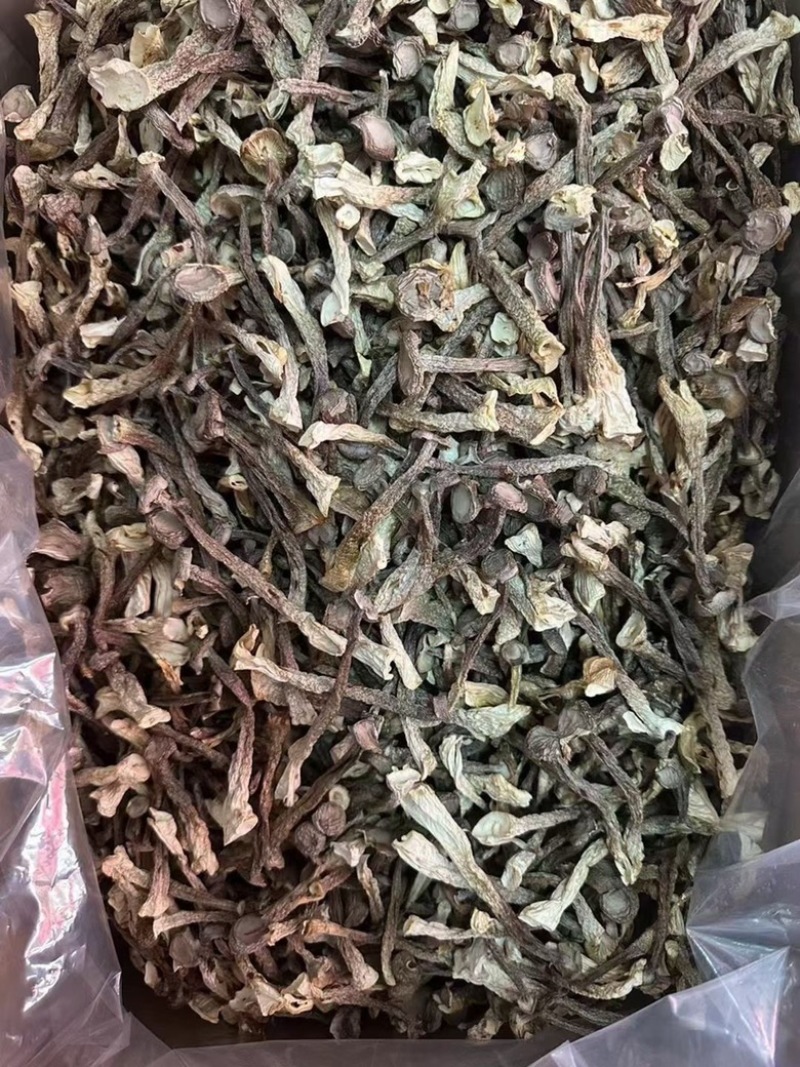 鹿茸菇地摊电商鹿茸菇干菌菇蘑菇干干鹿茸菇
