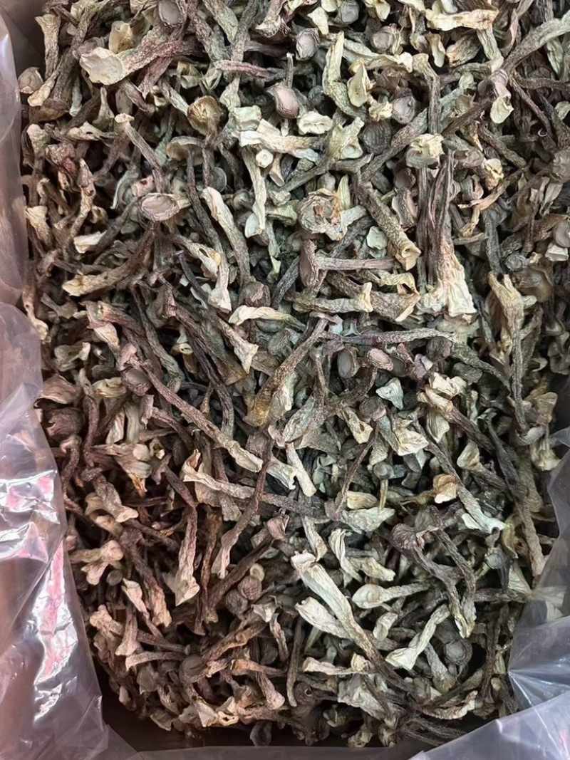 鹿茸菇地摊电商鹿茸菇干菌菇蘑菇干干鹿茸菇