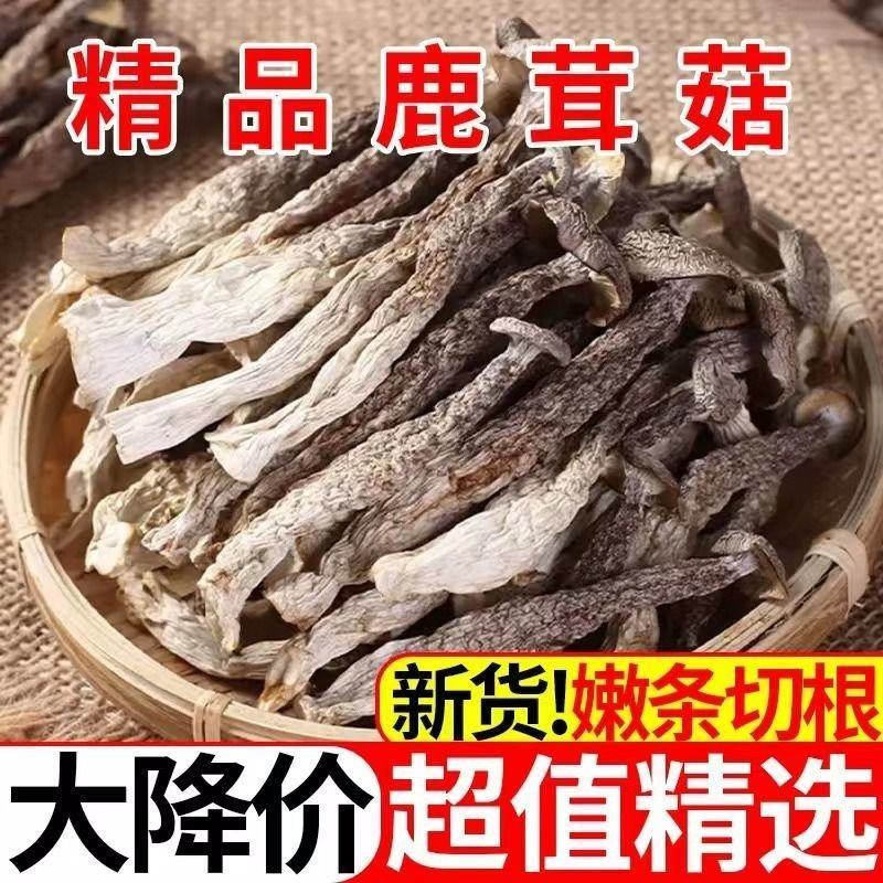 鹿茸菇地摊电商鹿茸菇干菌菇蘑菇干干鹿茸菇