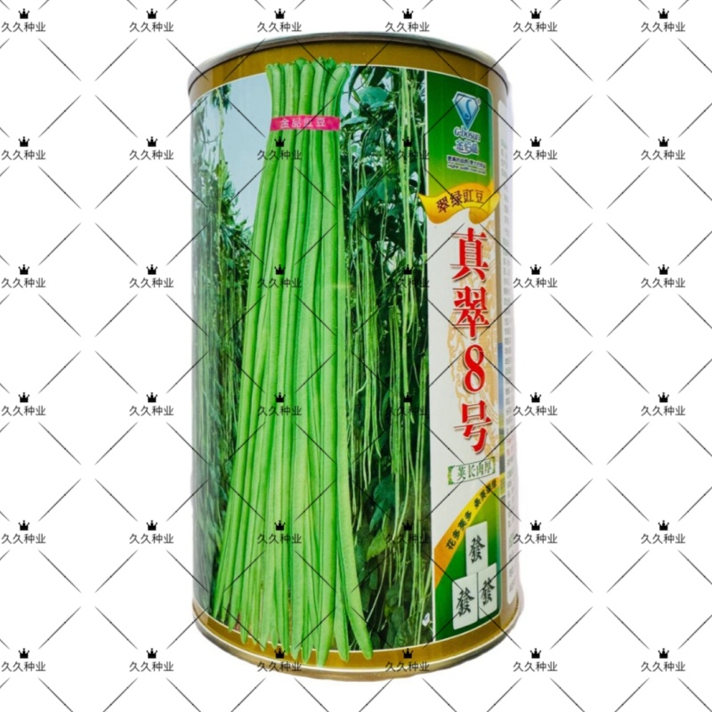 原装真翠8号豆角种子高产抗病早熟四季播种荚长肉厚条荚翠绿