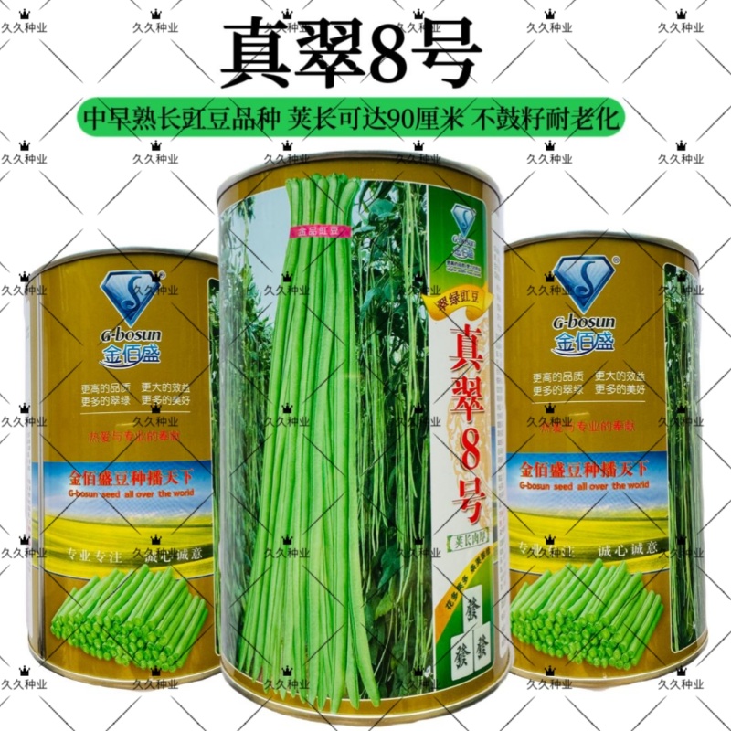 原装真翠8号豆角种子高产抗病早熟四季播种荚长肉厚条荚翠绿