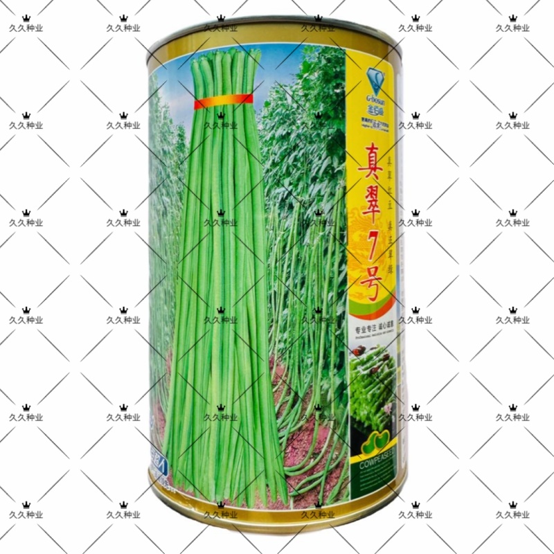 真翠7号豇豆种子高产耐热耐湿真正翠绿长豆角种子特长绿豆角