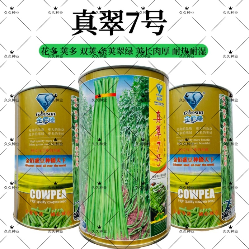 真翠7号豇豆种子高产耐热耐湿真正翠绿长豆角种子特长绿豆角