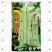 长胜将军97-5芸豆种子架豆高产抗病菜园大田四季蔬菜