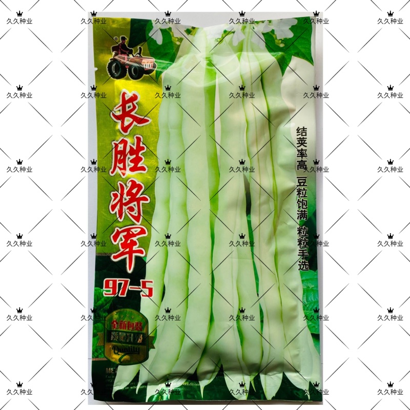 长胜将军97-5芸豆种子架豆高产抗病菜园大田四季蔬菜