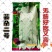 杂芸二号芸豆种子白芸豆架豆白扁四季豆早熟春秋大田高产大荚