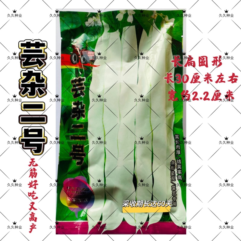 杂芸二号芸豆种子白芸豆架豆白扁四季豆早熟春秋大田高产大荚