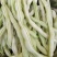 早美218芸架豆种子早熟豆角种籽高产九粒白芸豆四季豆