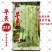 早美218芸架豆种子早熟豆角种籽高产九粒白芸豆四季豆