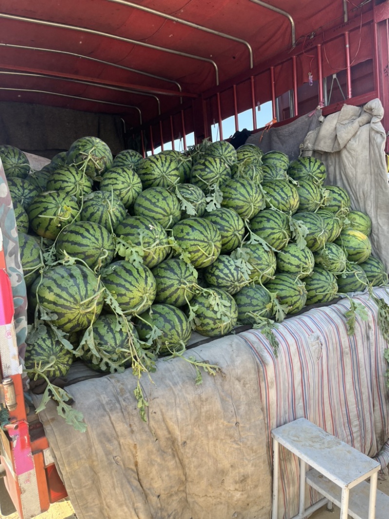 山东平度市山地头茬西瓜，保熟保甜口感好甜度高，8斤打底。