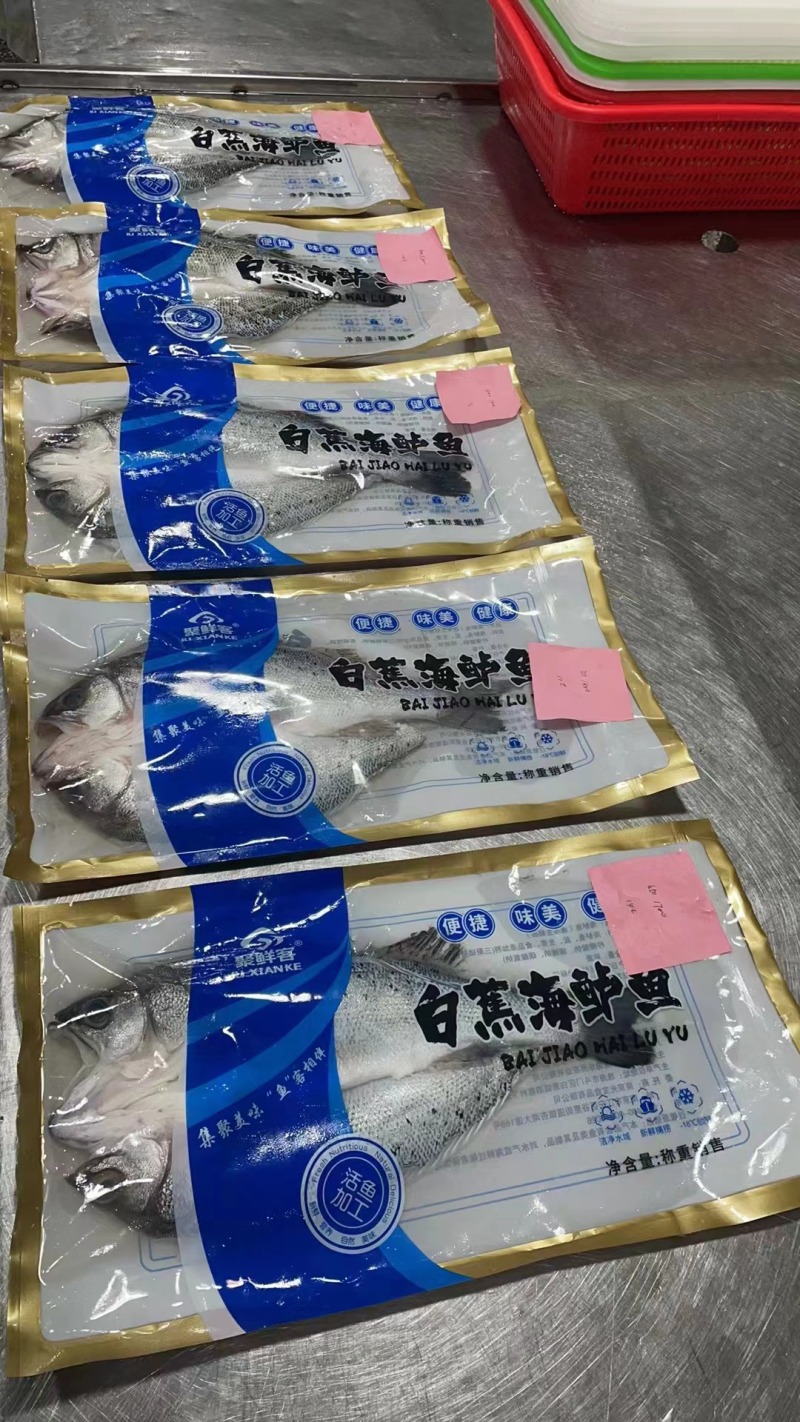 开背鲈鱼，10-16条海鲈鱼便宜好用。。。