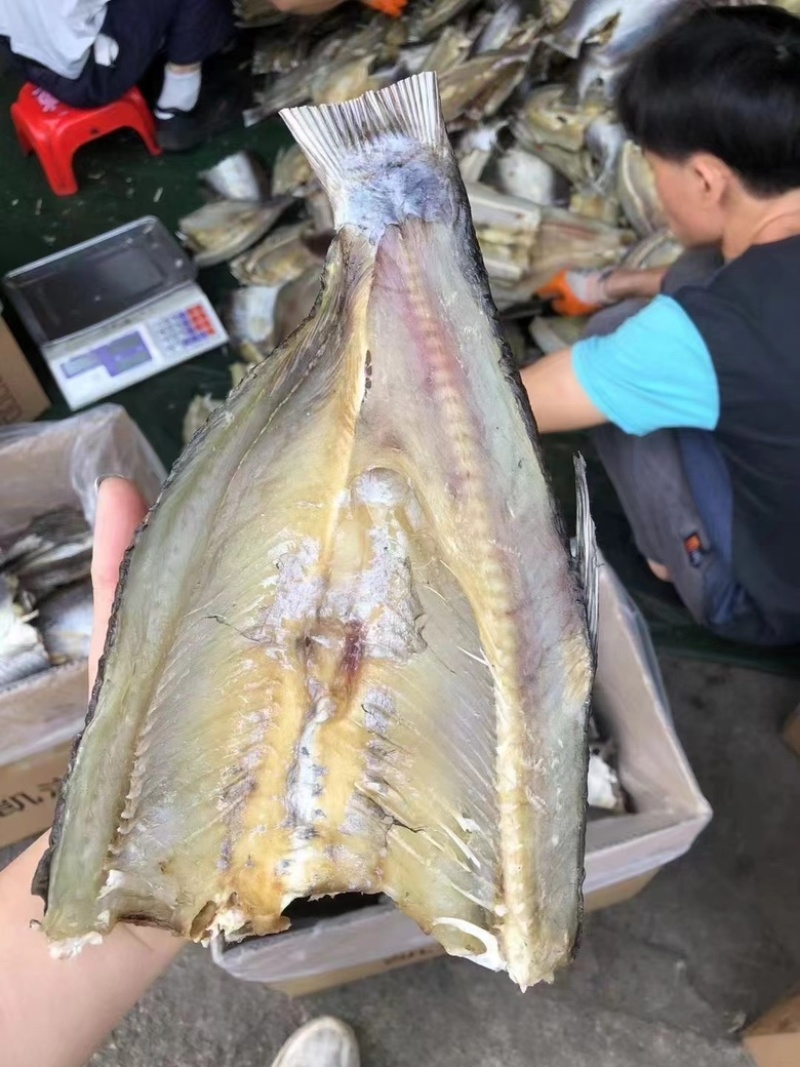 开边草鱼去头去内脏草鱼干地摊展会草鱼干现货批发