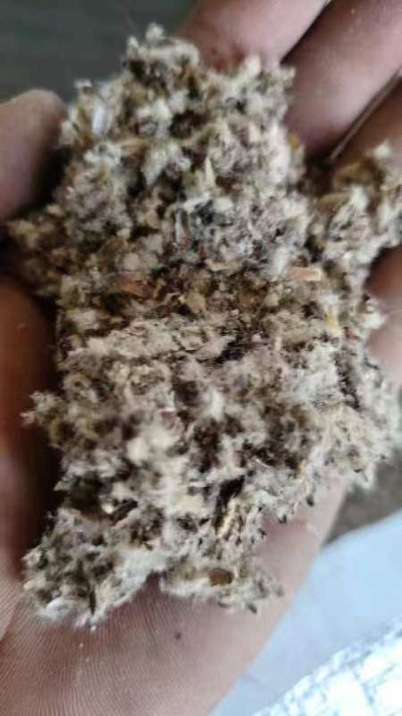 新疆优质棉壳中壳中绒新疆发货质量保证