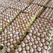 新鲜鲜鸡蛋无坏蛋无杂志中码蛋质量保证送货上门
