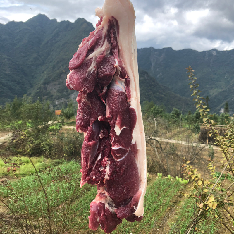 生态黑猪肉，整头批发，全国发货