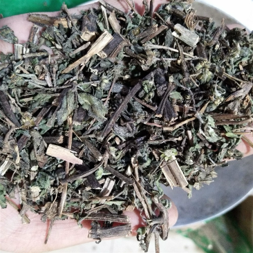 墨旱莲