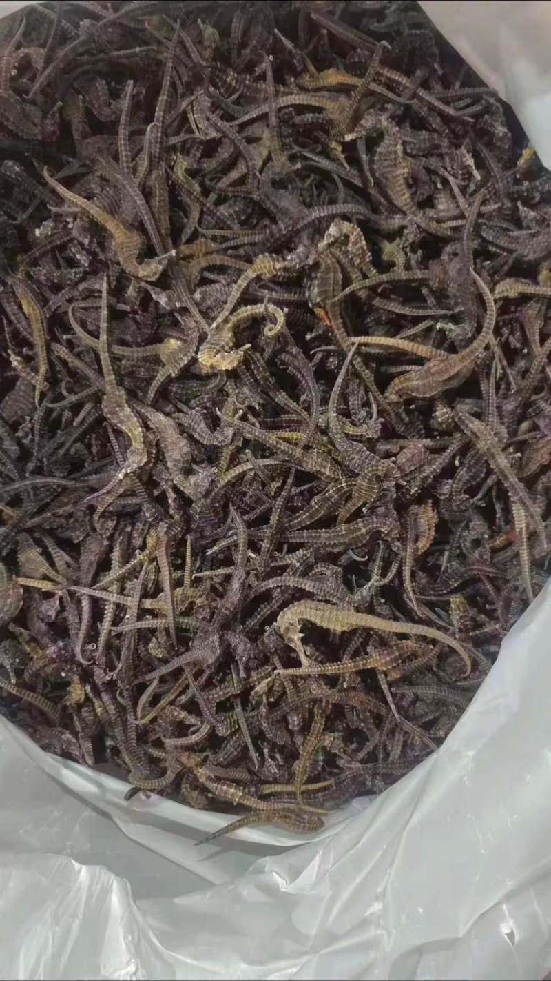 墨旱莲