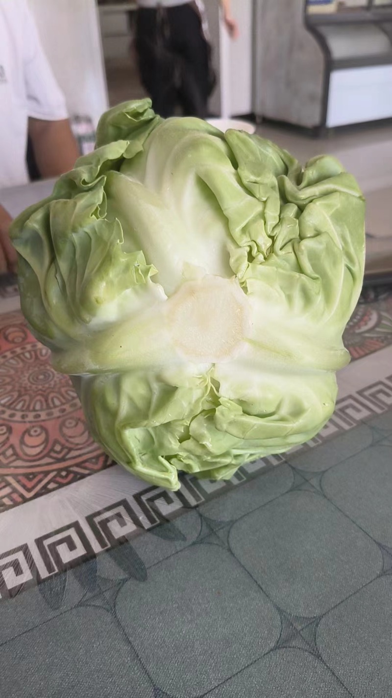 精品甘蓝，产地直销大量有货。