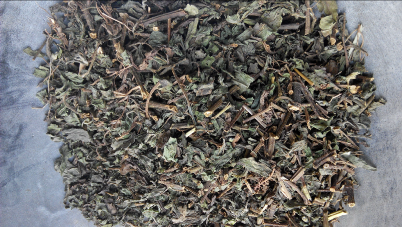 败酱草